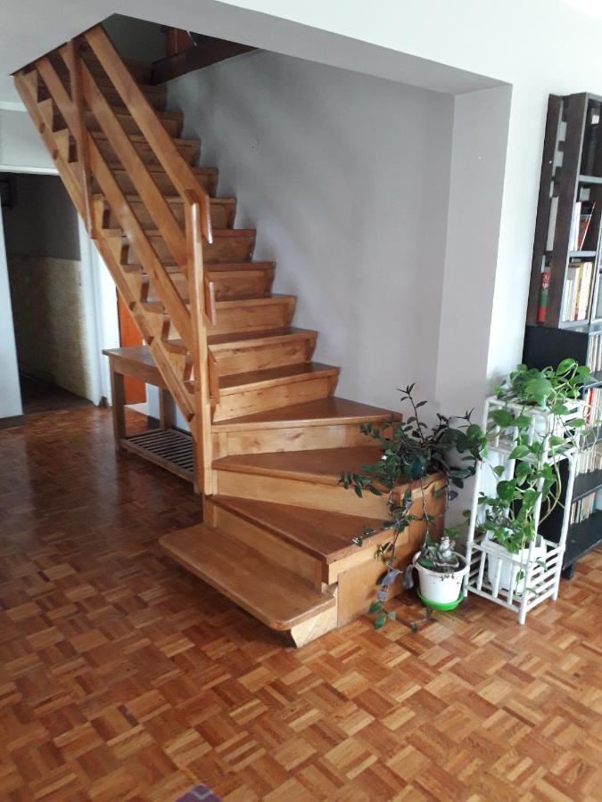 ウシュアイア La Casa Del Mono Bed & Breakfast エクステリア 写真